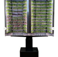 Вертикальная  ферма «Моя микрозелень» комплектация  «Театро настенная» - «globural.ru» - Нерюнгри