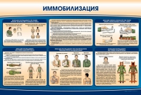 Стенд "Иммобилизация" - «globural.ru» - Нерюнгри