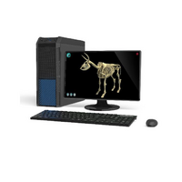 Макет масштабный «Скелет Коровы» Масштаб 1:2 - «globural.ru» - Нерюнгри