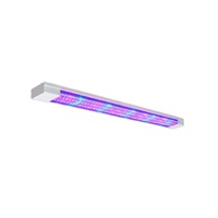 Фитолампа - «globural.ru» - Нерюнгри