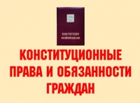 Комплект плакатов "Конституционные права и обязанности граждан" - «globural.ru» - Нерюнгри