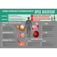 Стенд "Алкоголь" - «globural.ru» - Нерюнгри