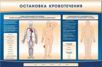 Электрифицированный стенд-тренажер "Остановка кровотечения" - «globural.ru» - Нерюнгри