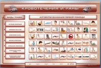 Трехсекционный базовый комплект "Травмы. Кровотечения. Ожоги" для учащихся общеобразовательных учреждений - «globural.ru» - Нерюнгри