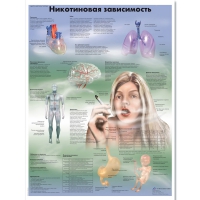 Плакат "Никотиновая зависимость", ламинированный, 50*67 см - «globural.ru» - Нерюнгри