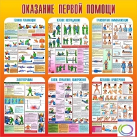 Стенд "Оказание первой помощи" - «globural.ru» - Нерюнгри
