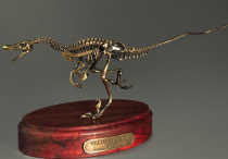 Модель скелета динозавра Velociraptor - «globural.ru» - Нерюнгри