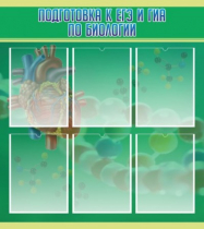 Стенд "Подготовка к ЕГЭ и ОГЭ по биологии" (вариант 1) - «globural.ru» - Нерюнгри