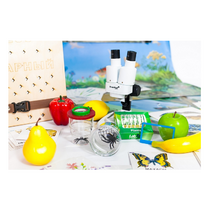 Учебно-методический набор для проектной деятельности в ДОО №1–ЕН (химия, биология, анатомия) - «globural.ru» - Нерюнгри