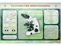 Электрифицированный стенд "Устройство микроскопа и правила работы c ним" - «globural.ru» - Нерюнгри
