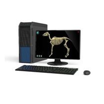 Макет масштабный «Скелет Лошади» Масштаб 1:2 - «globural.ru» - Нерюнгри