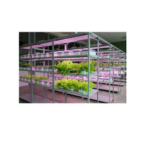 Обучающий комплект "АГРОкласс" - «globural.ru» - Нерюнгри