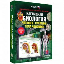 Наглядная биология. Человек. Строение тела человека - «globural.ru» - Нерюнгри