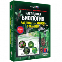 Наглядная биология. Растение - живой организм - «globural.ru» - Нерюнгри