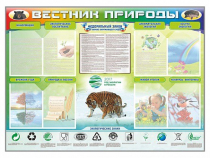 Стенд-уголок "Вестник природы" (вариант 1) - «globural.ru» - Нерюнгри