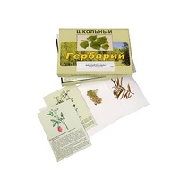 Гербарий "Для начальной школы" (30 видов, с иллюстрациями) - «globural.ru» - Нерюнгри