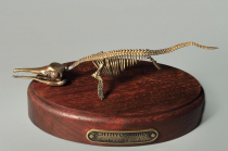Модель скелета ихтиозавра Ichthyosaurus - «globural.ru» - Нерюнгри