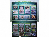 Комбинированный модульный комплекс "Лого-биолог" - «globural.ru» - Нерюнгри