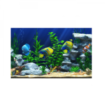 Интерактивный аттракционный комплекс "Водный мир" - «globural.ru» - Нерюнгри