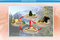Интерактивные курсы. Биология 7 класс. Базовый - «globural.ru» - Нерюнгри