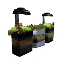 Учебная установка "Аквапоника"  - «globural.ru» - Нерюнгри