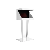 Голографический куб Cube Ultra 23,8" - «globural.ru» - Нерюнгри
