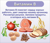Стенд "Витамин В" - «globural.ru» - Нерюнгри