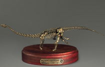 Модель скелета динозавра Diplodocus (вариант 1) - «globural.ru» - Нерюнгри