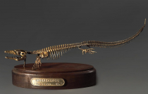 Модель скелета мозазавра Mosasaurus - «globural.ru» - Нерюнгри
