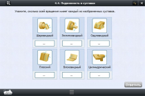 Интерактивные курсы. Биология 8 класс. Расширенный - «globural.ru» - Нерюнгри