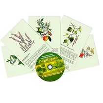 Интерактивный наглядный комплекс "Гербарий "Для начальной школы" - «globural.ru» - Нерюнгри