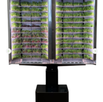 Вертикальная  ферма «Моя микрозелень» комплектация  «Театро настенная» - «globural.ru» - Нерюнгри