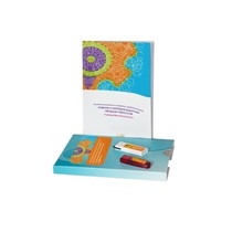 Развитие и коррекция мышления младших подростков. Локальная версия - «globural.ru» - Нерюнгри