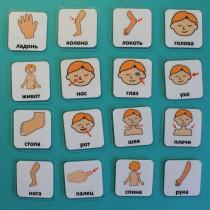 Набор карточек "Части тела" - «globural.ru» - Нерюнгри
