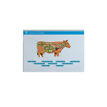 Стенд-планшет светодинамический "Изучение нервной системы сельскохозяйственных животных" со сменными панелями - «globural.ru» - Нерюнгри