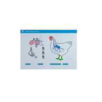 Стенд-планшет светодинамический "Изучение органов дыхания сельскохозяйственных животных" со сменными панелями - «globural.ru» - Нерюнгри