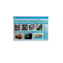 Стенд-планшет светодинамический «Острые отравления животных лекарственными препаратами» - «globural.ru» - Нерюнгри