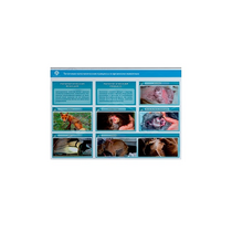 Стенд-планшет светодинамический "Изучение типических патологических процессов в организмах животных" - «globural.ru» - Нерюнгри