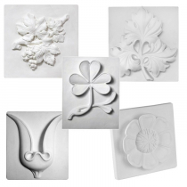 Комплект гипсовых моделей растений  - «globural.ru» - Нерюнгри