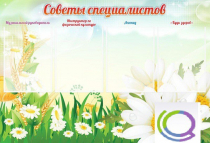 Стенд "Советы специалистов" - «globural.ru» - Нерюнгри