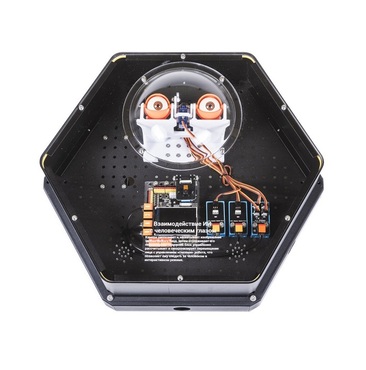 Модуль интерактивный с искусственным интеллектом "Наблюдатель" - «globural.ru» - Нерюнгри