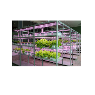 Обучающий комплект "АГРОкласс" - «globural.ru» - Нерюнгри