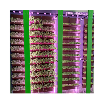 Вертикальная ферма "Моя Микрозелень" комплектация Школьная - «globural.ru» - Нерюнгри