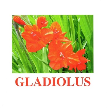 "Flowers-1" ("Цветы-1") английские карточки Домана - «globural.ru» - Нерюнгри