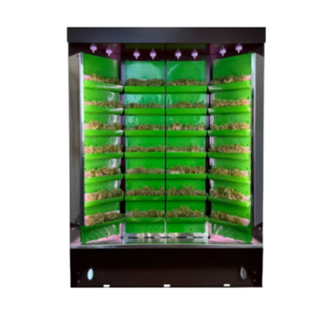 Вертикальная ферма "Моя Микрозелень" комплектация "Театро настольная" - «globural.ru» - Нерюнгри