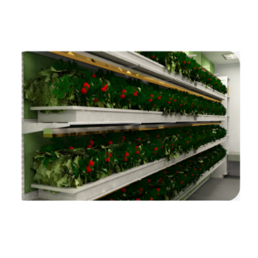 Стеллаж для выращивания клубники "Стена" - «globural.ru» - Нерюнгри