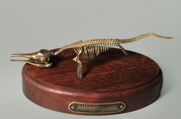 Модель скелета ихтиозавра Ichthyosaurus - «globural.ru» - Нерюнгри
