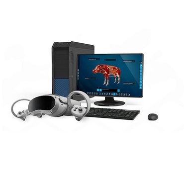 Интерактивный учебный комплекс «Анатомия Свиньи» - «globural.ru» - Нерюнгри