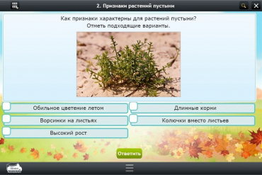 Интерактивные курсы. Окружающий мир 3 класс. Базовый - «globural.ru» - Нерюнгри
