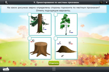Интерактивные курсы. Окружающий мир 1 класс. Базовый - «globural.ru» - Нерюнгри